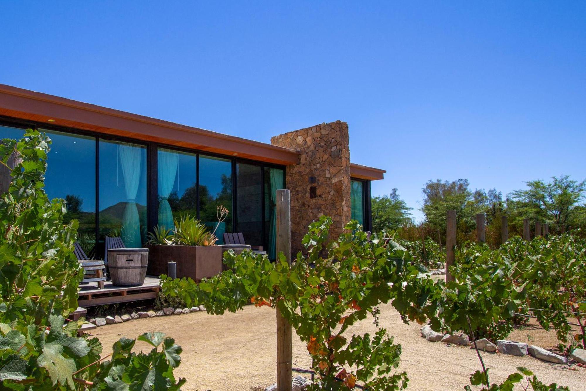 Hotel Boutique Valle De Guadalupe & Spa Quarto foto