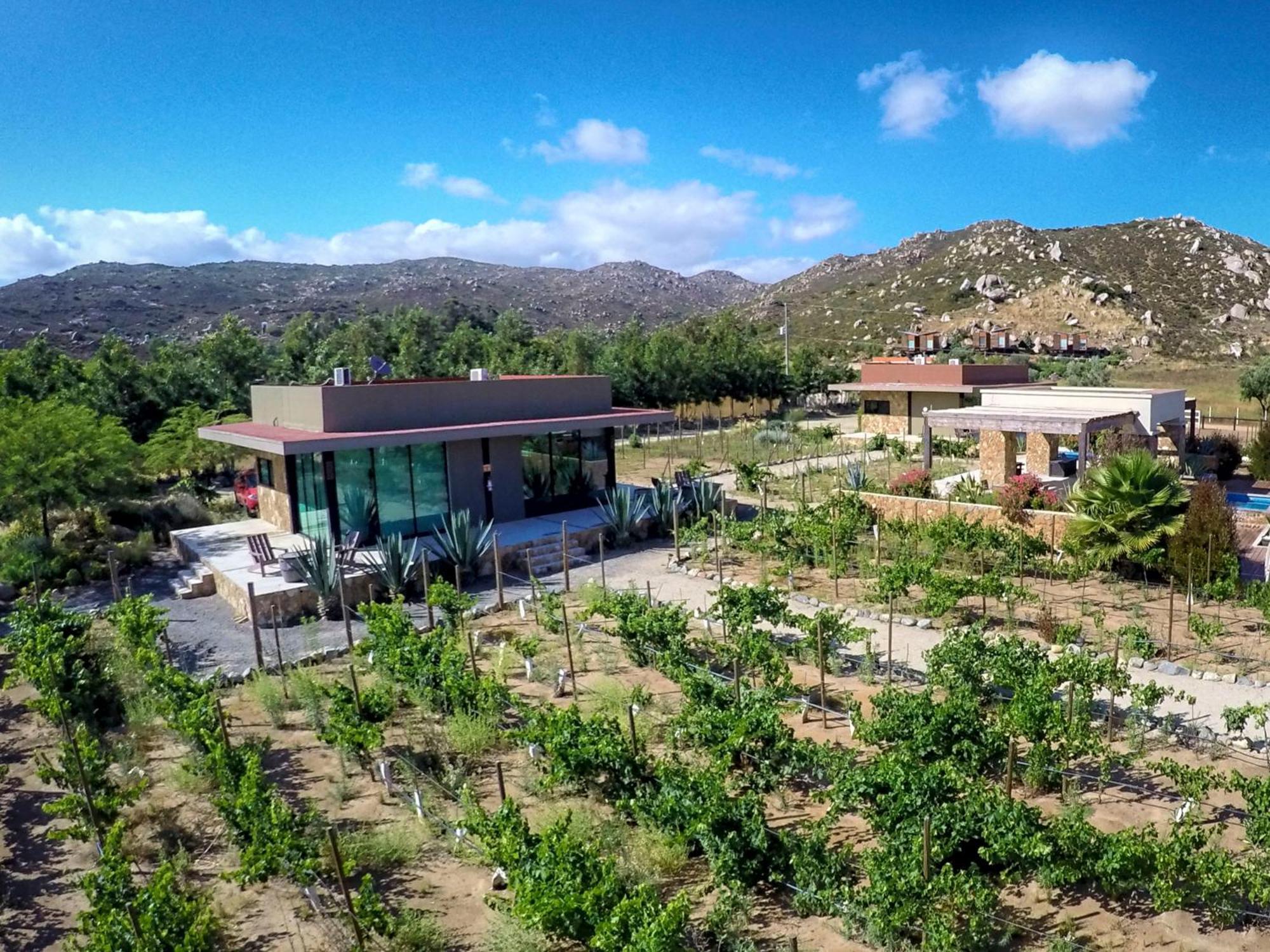 Hotel Boutique Valle De Guadalupe & Spa Quarto foto