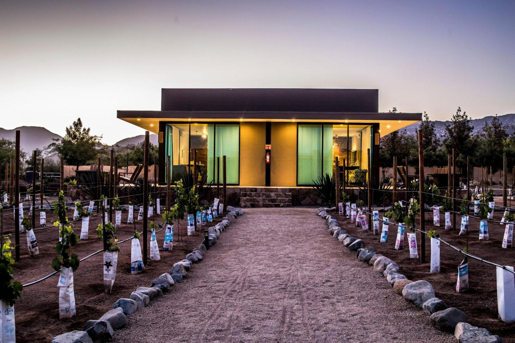 Hotel Boutique Valle De Guadalupe & Spa Quarto foto